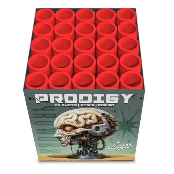 Prodigy_1_grande